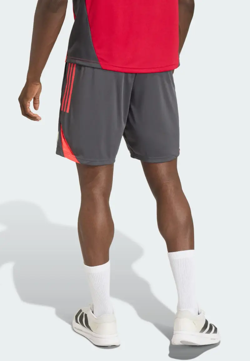 Pantaloni sportivi FC Liverpool Tiro 25 Competition antracite / melone / offwhite miniatura 3