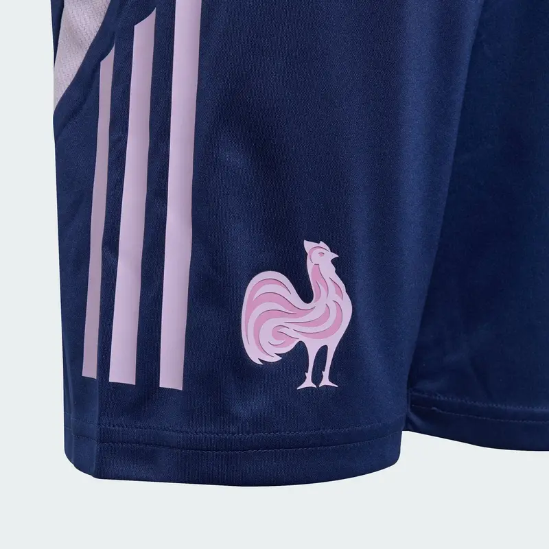 Pantaloni sportivi 'France' blu scuro / sambuco miniatura 3