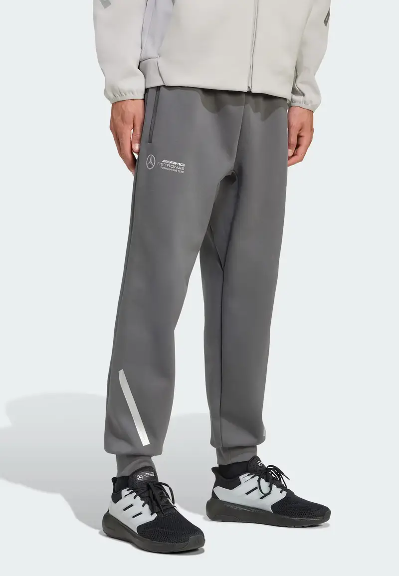 Pantaloni sportivi Mercedes-AMG Petronas F1 Team grigio / grigio chiaro miniatura 3