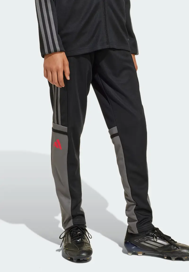 Pantaloni sportivi Squadra 25 mirtillo / nero miniatura 2