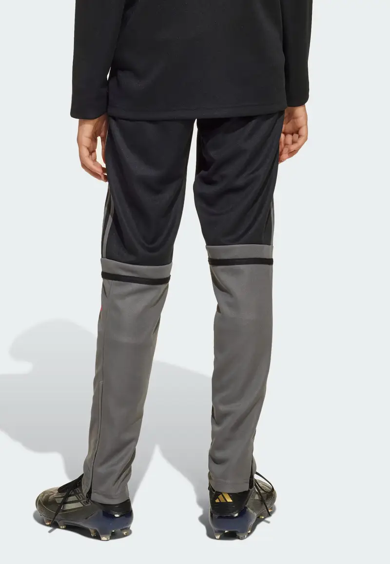 Pantaloni sportivi Squadra 25 mirtillo / nero miniatura 3