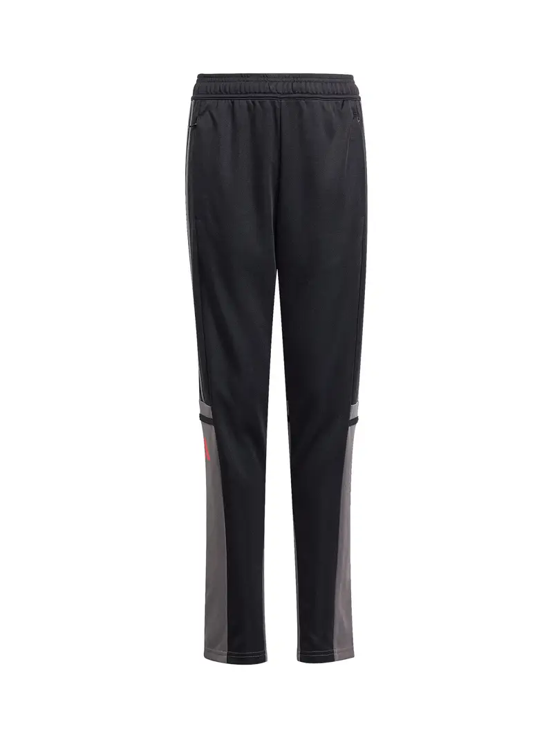 Pantaloni sportivi Squadra 25 mirtillo / nero