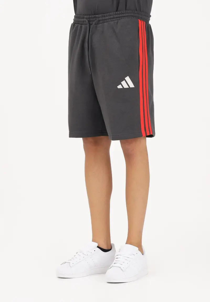 Shorts sportivo DNA del team Audi Revolut F1® grigio e rosso da uomo