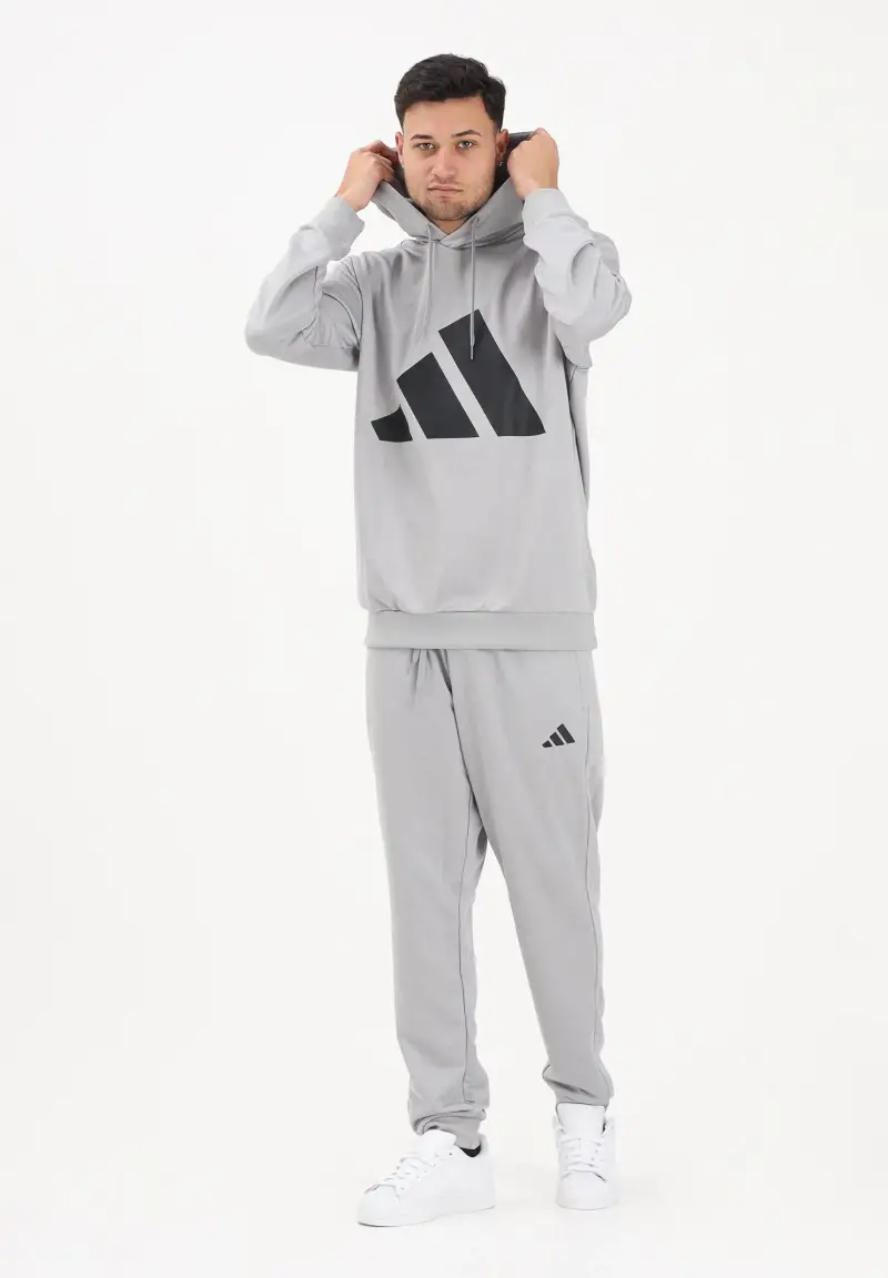 Tuta Sportswear Big Logo grigia da uomo miniatura 2