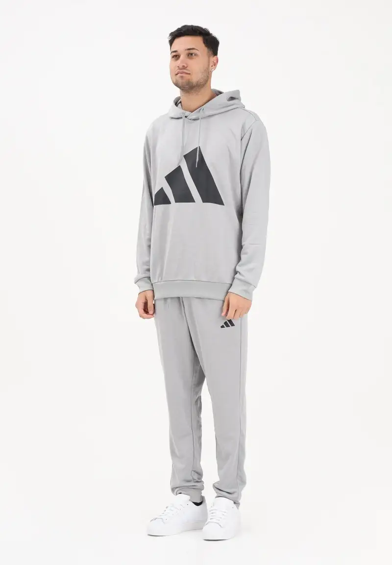 Tuta Sportswear Big Logo grigia da uomo