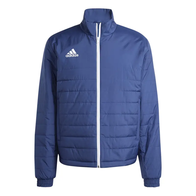 Piumino Adidas Entrada Bleu