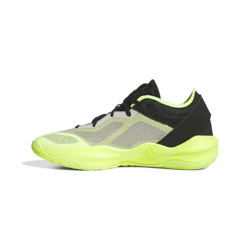 Scarpe Basket Adidas Sport Adizero Select 2.0 Adulto | Adidas Verde