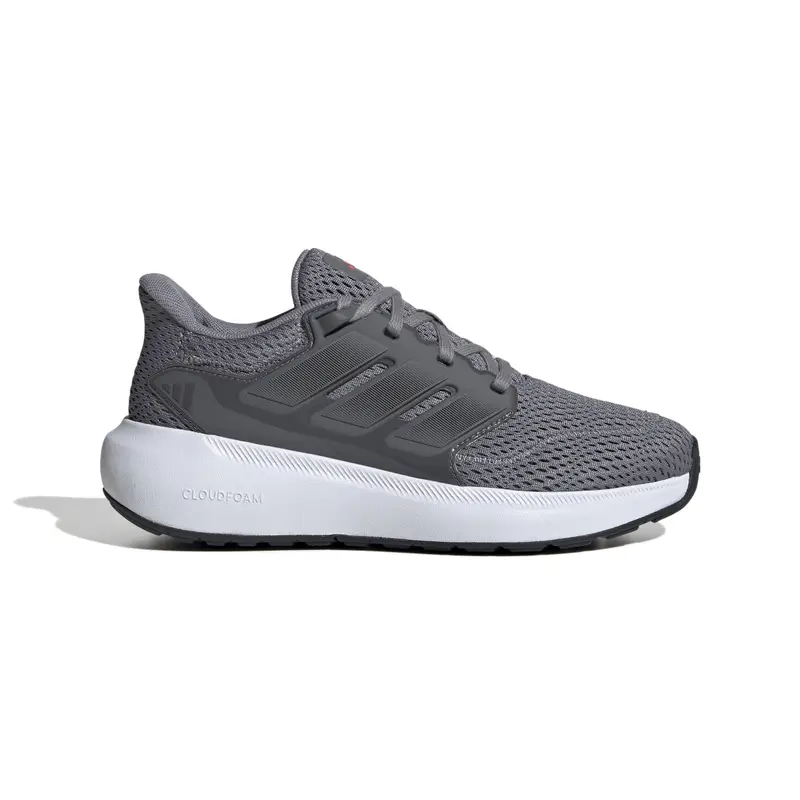 Adidas Scarpe da ginnastica 2826315