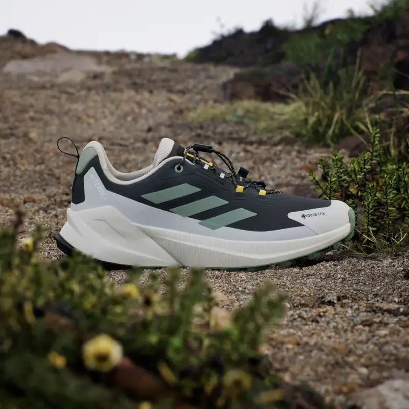 SCARPE DA HIKING ADIDAS NATIONAL GEOGRAPHIC TERREX TRAILMAKER 2 GORE-TEX Carbon miniatura 2
