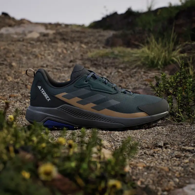 Scarpe da hiking Terrex Anylander Aurora Ivy miniatura 2