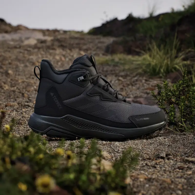 Scarpe da Hiking Terrex Anylander CLIMAWARM+ Carbon miniatura 2