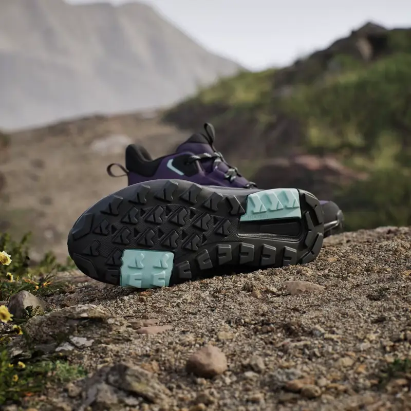 Scarpe da hiking Terrex Anylander Mid Rain.Rdy Aurora Plum miniatura 3