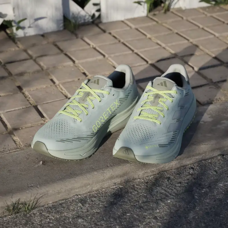 Scarpe da running Supernova Rise GTX Wonder Silver miniatura 4