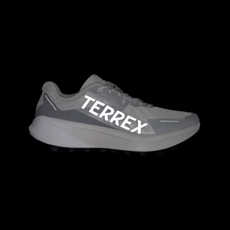 Scarpe da trail running Terrex Agravic Grey Two miniatura 2