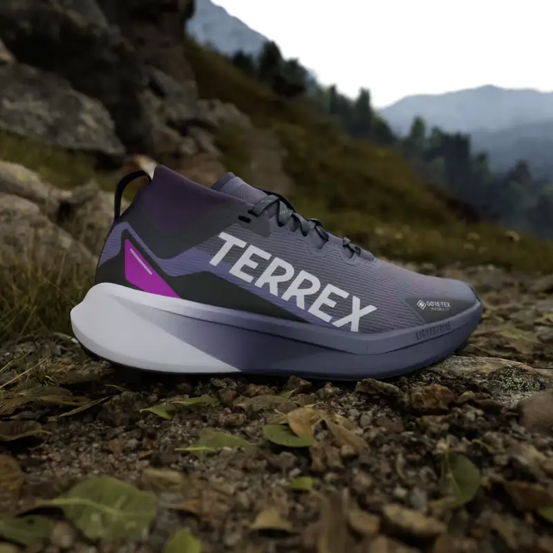 Scarpe da trail running Terrex Agravic GTX Preloved Violet miniatura 2