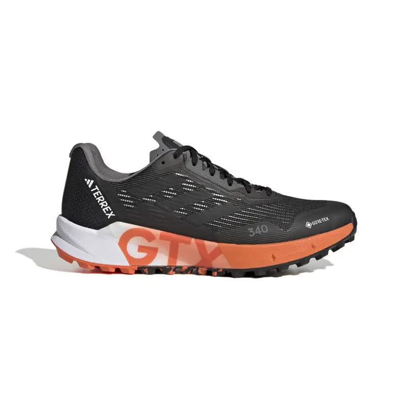 Scarpe di trail running adidas Terrex Agravic Flow 2 Gtx | Adidas Nero