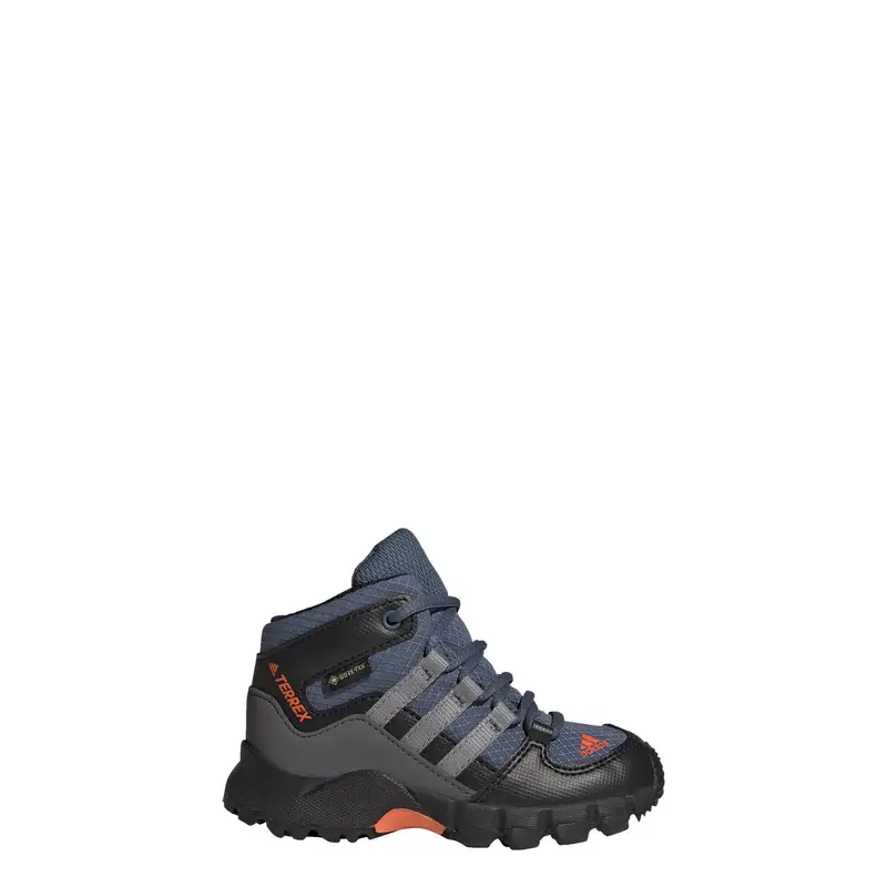 Scarpe Terrex Mid GTX | Adidas Blu