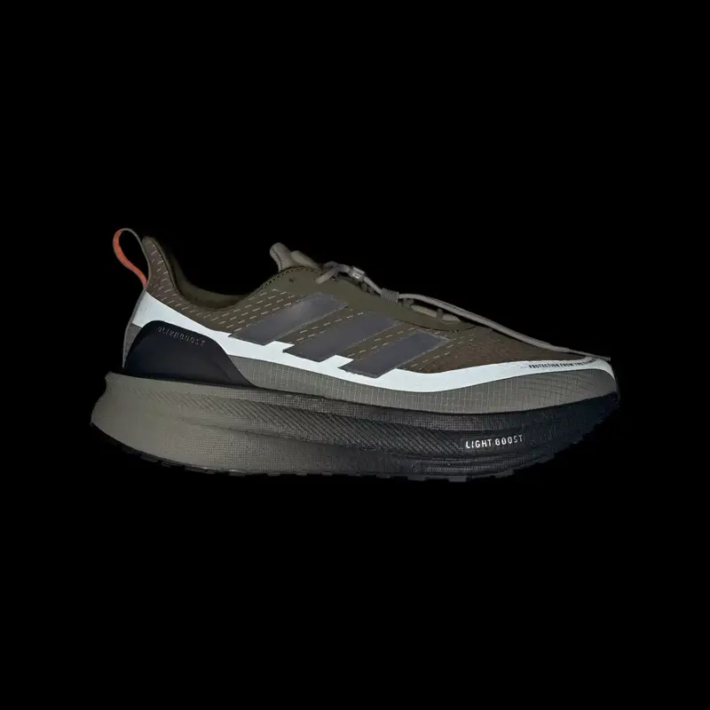 Scarpe Ultraboost 5 TR Silver Pebble miniatura 2