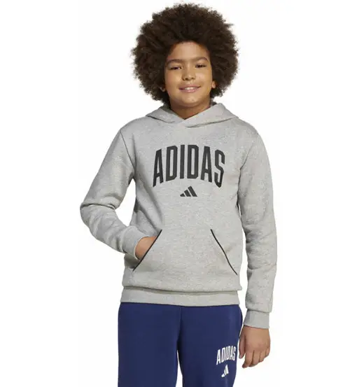 Seasonals Essentials Collegiate Typography Jr - felpa con cappuccio - ragazzo Grey