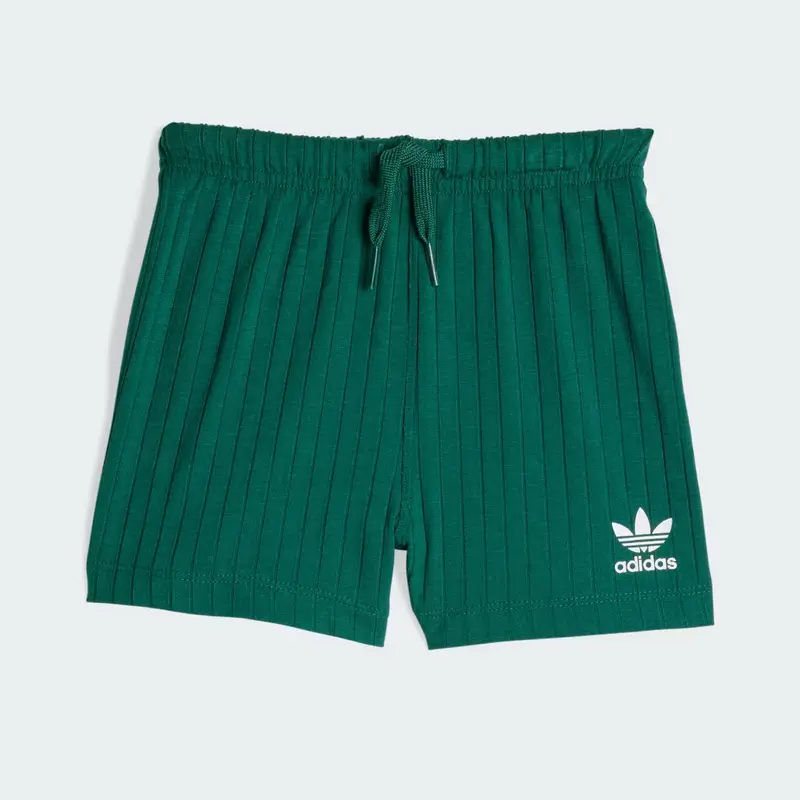 SET REGULAR WIDE RIB CON T-SHIRT E SHORT A COSTE LARGHE Collegiate Green miniatura 4