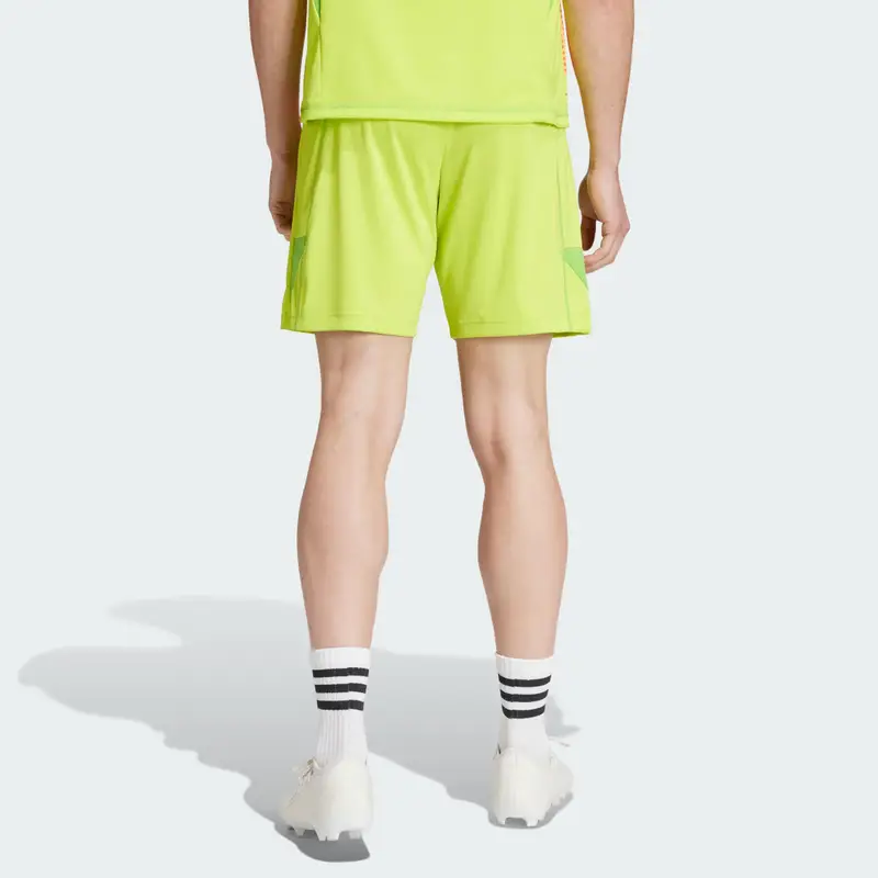 Short Goalkeeper 24/25 Arsenal FC Semi Solar Yellow miniatura 2