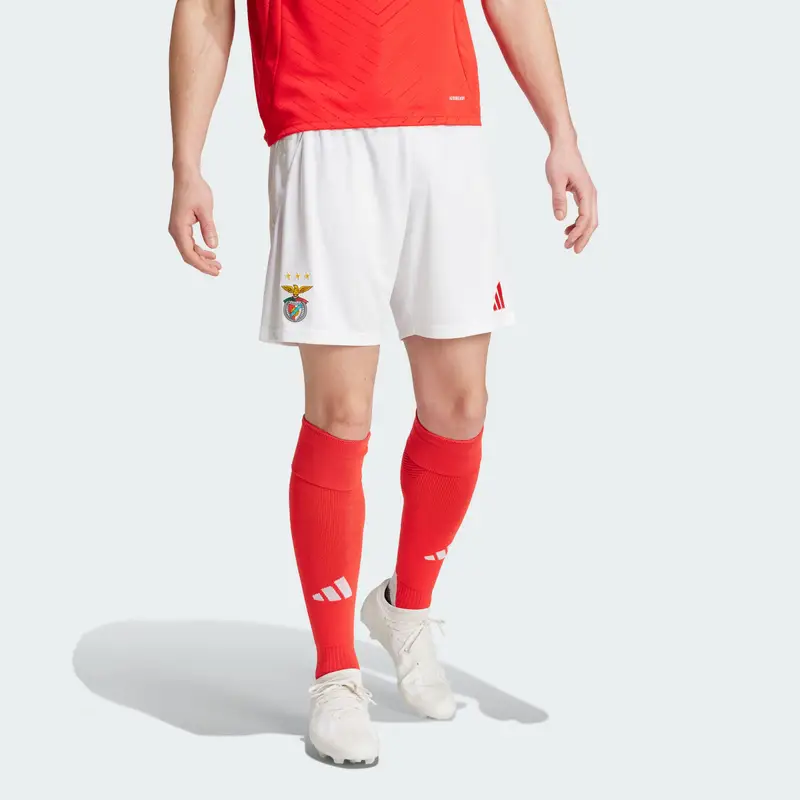 Short Home 24/25 Benfica | Adidas Bianco