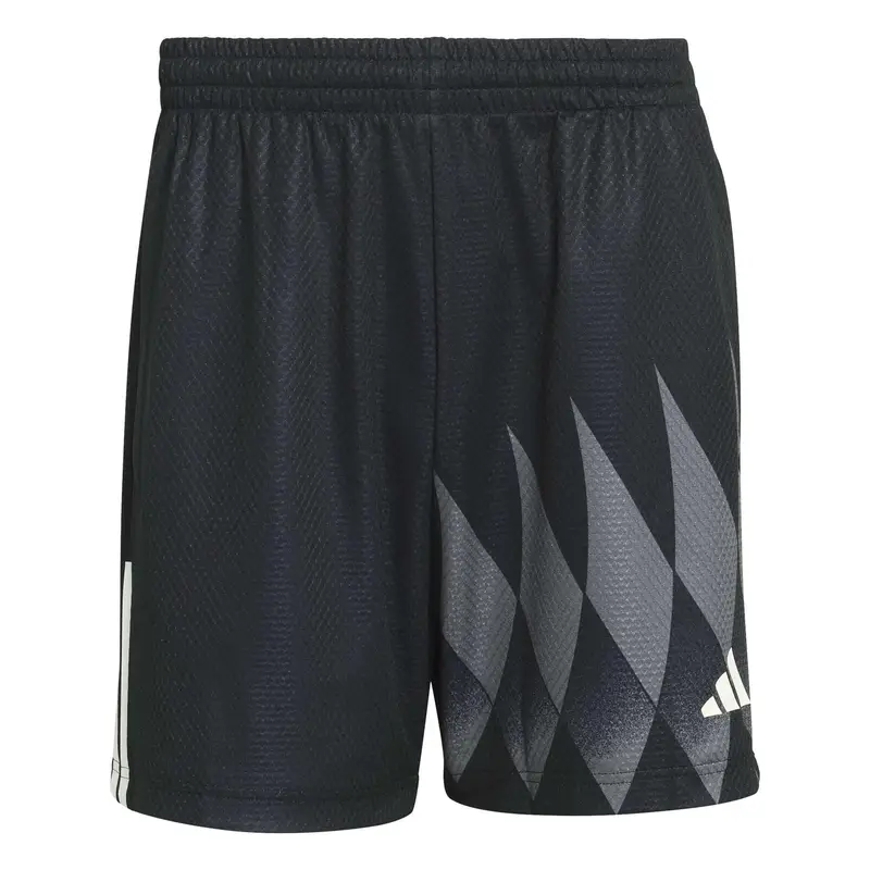 Shorts adidas House Of Tiro X Common Noir