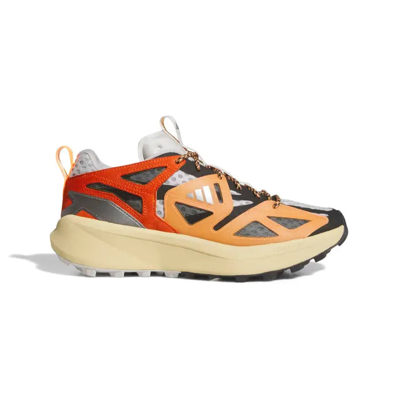 Sneakers adidas Kantai Trail Gris