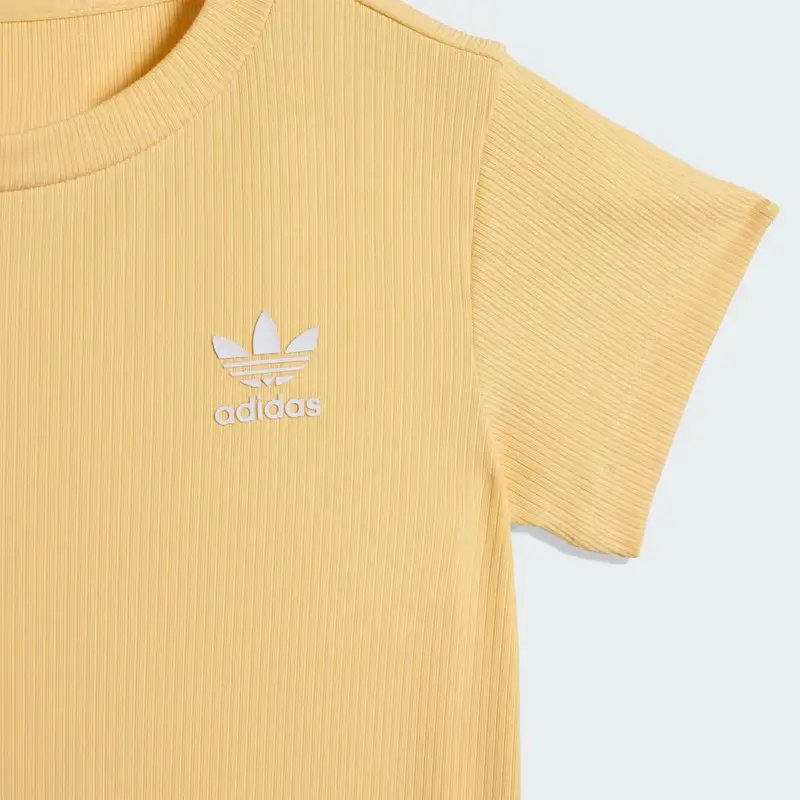 TUTINA REGULAR A MANICA CORTA A COSTINE Orange Tint miniatura 4