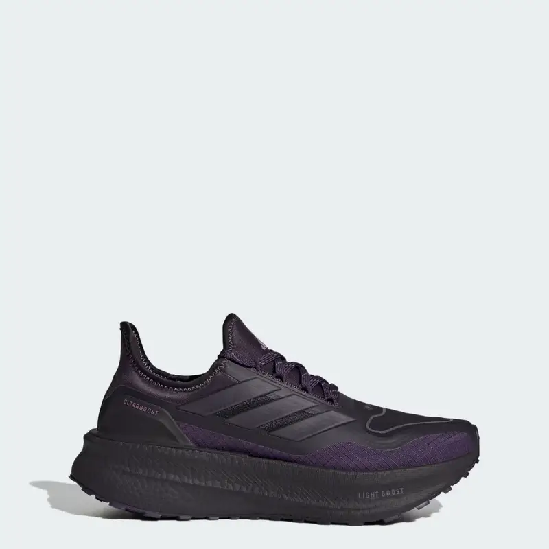 ULTRABOOST 5 GTX Aurora Black