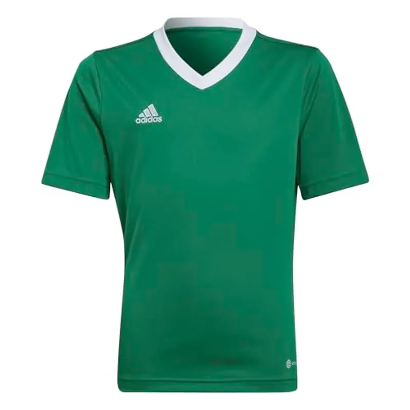 adidas Unisex - Bambini Entrada 22 Jersey, Team Green/White, 13