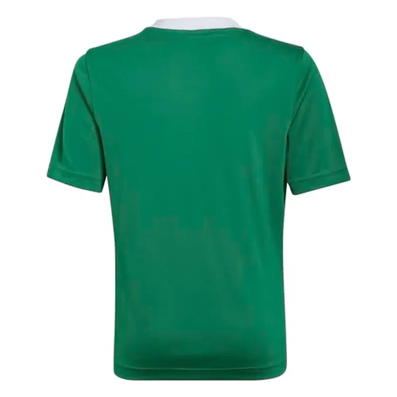 adidas Unisex - Bambini Entrada 22 Jersey, Team Green/White, 13 miniatura 2