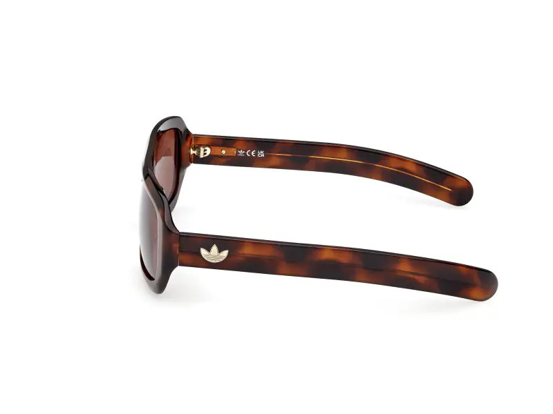 Unisex OR0131 52E Occhiali da sole Acetato Havana Marrone Squadrata Normale miniatura 3