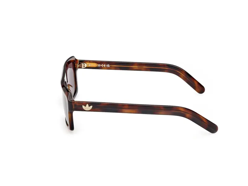 Unisex OR0133 52E Occhiali da sole Acetato Havana Marrone Squadrata Normale miniatura 3