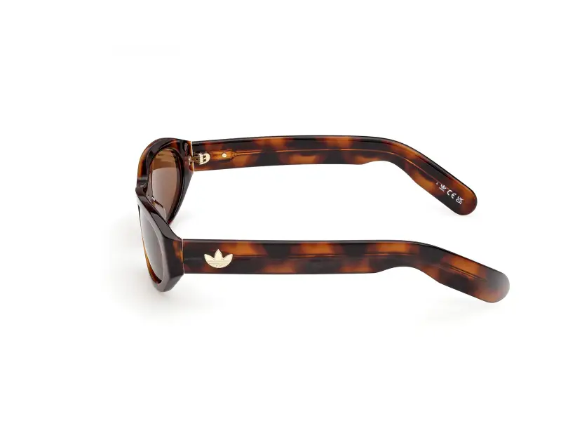 Unisex OR0139 52E Occhiali da sole Acetato Havana Marrone Rotonda Normale miniatura 3