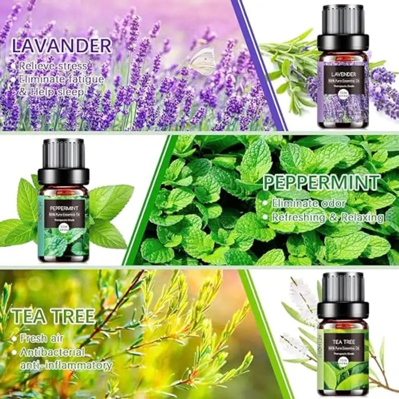 AESHORY Set di Oli Essenziali per Diffusori 6 x 10ML, 100% Puri Naturali Olio Essenziale Profumate per Aromaterapia, SPA, Massaggio - Lavanda, Tea Tree, Menta Piperita, Eucalipto, Arancia Dolce miniatura 2