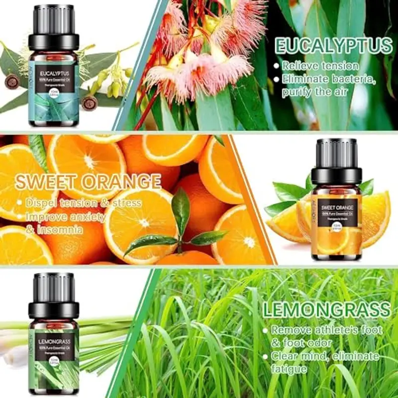 AESHORY Set di Oli Essenziali per Diffusori 6 x 10ML, 100% Puri Naturali Olio Essenziale Profumate per Aromaterapia, SPA, Massaggio - Lavanda, Tea Tree, Menta Piperita, Eucalipto, Arancia Dolce miniatura 3
