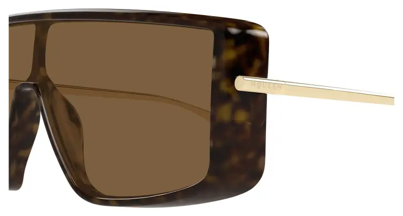 Unisex AM0524S 002 Occhiali da sole Acetato Havana Marrone Squadrata miniatura 3