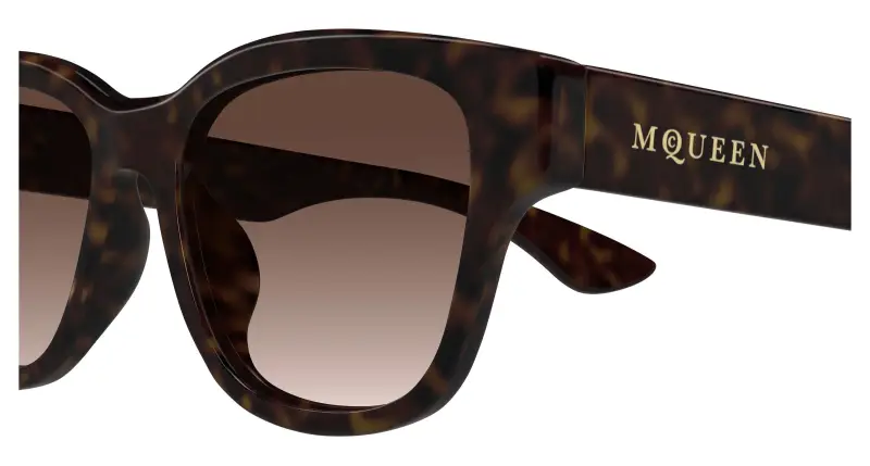 Unisex AM0528SA 002 Occhiali da sole Acetato Havana Marrone Squadrata miniatura 3