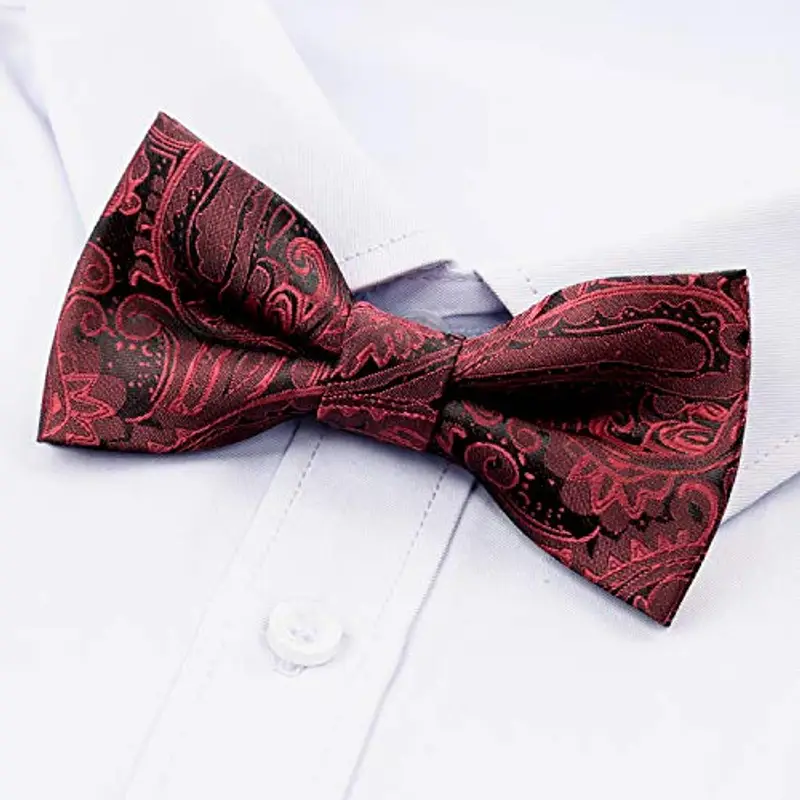 Alizeal Papillon Ragazzo Bordeaux 2298681 miniatura 2