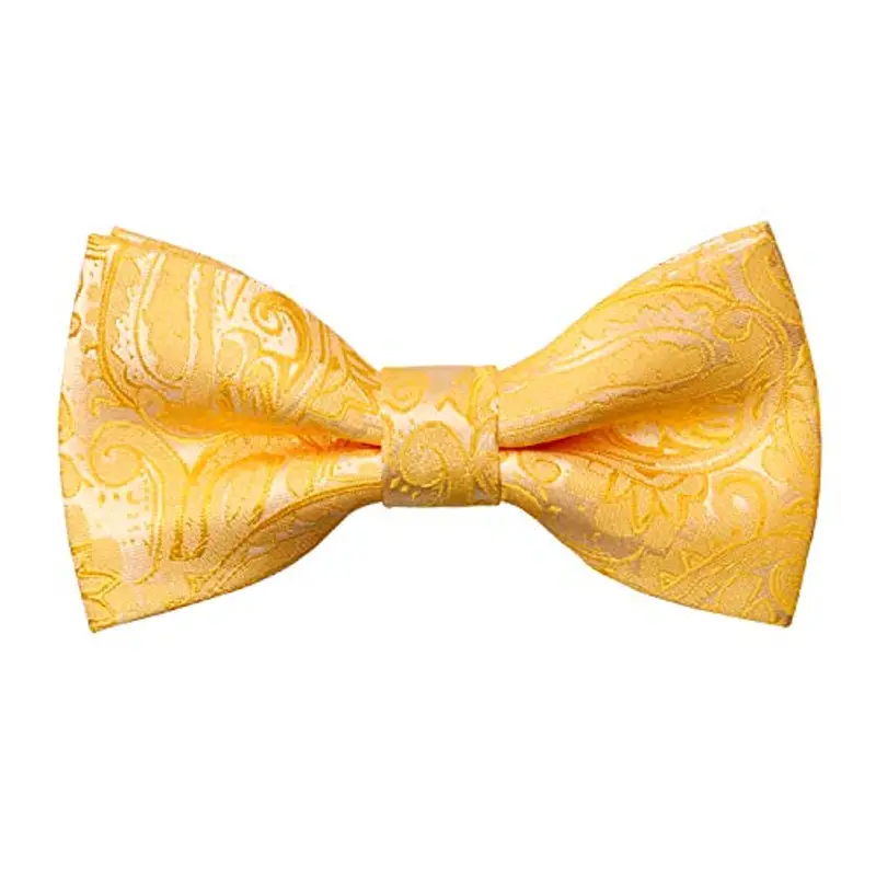 Alizeal Papillon Ragazzo Giallo 2298679