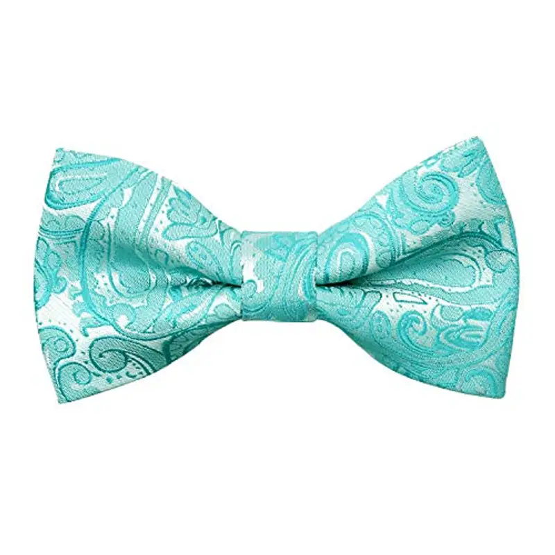 Alizeal Papillon Ragazzo Turchese 2298680