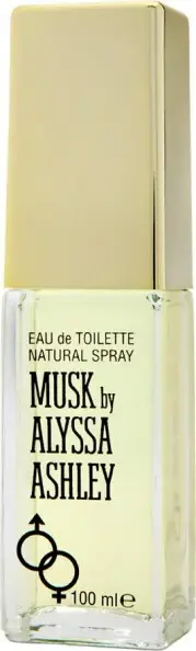 Musk by Alyssa Ashley - Eau de Toilette 100 ml