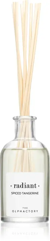 The Olphactory Spiced Tangerine diffusore di aromi 100 ml
