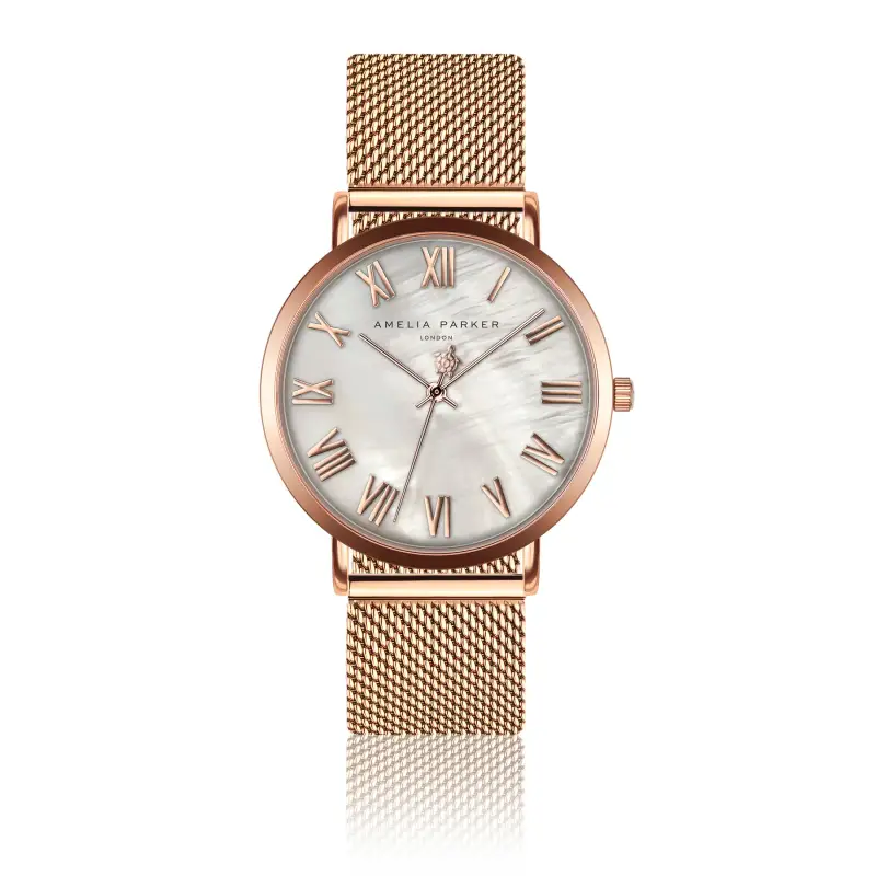 Orologio da donna Amelia Parker Classique Mesh