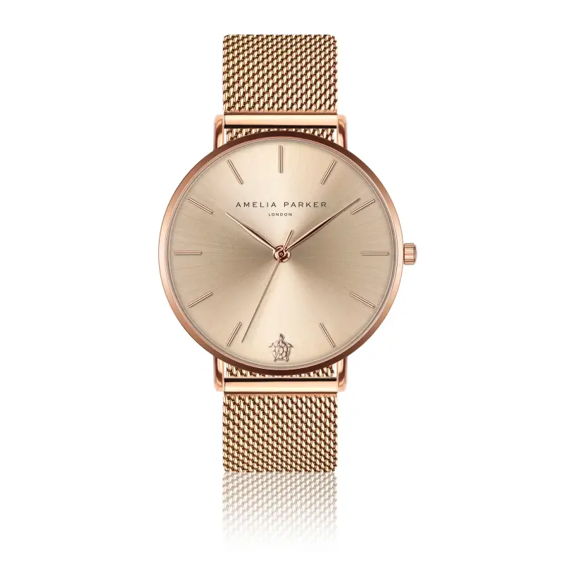 Orologio da donna Amelia Parker Gold Sky Mesh