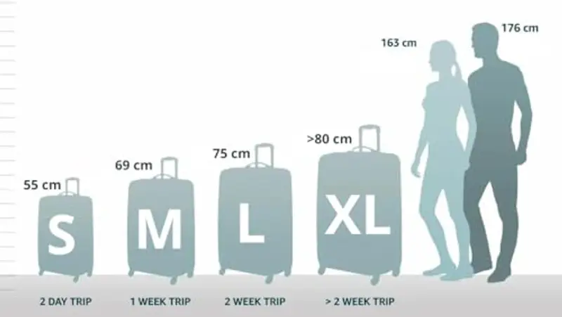 American Tourister Sea Seaker - Spinner XL, valigia, 80 cm, 92, 5 L, verde (Bayou Green) miniatura 3