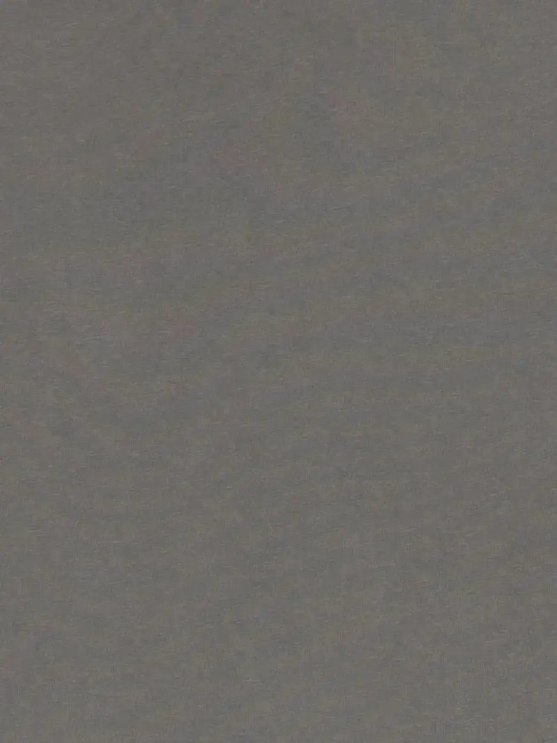 Anerkjendt T-shirt Grigio 4021528 miniatura 3