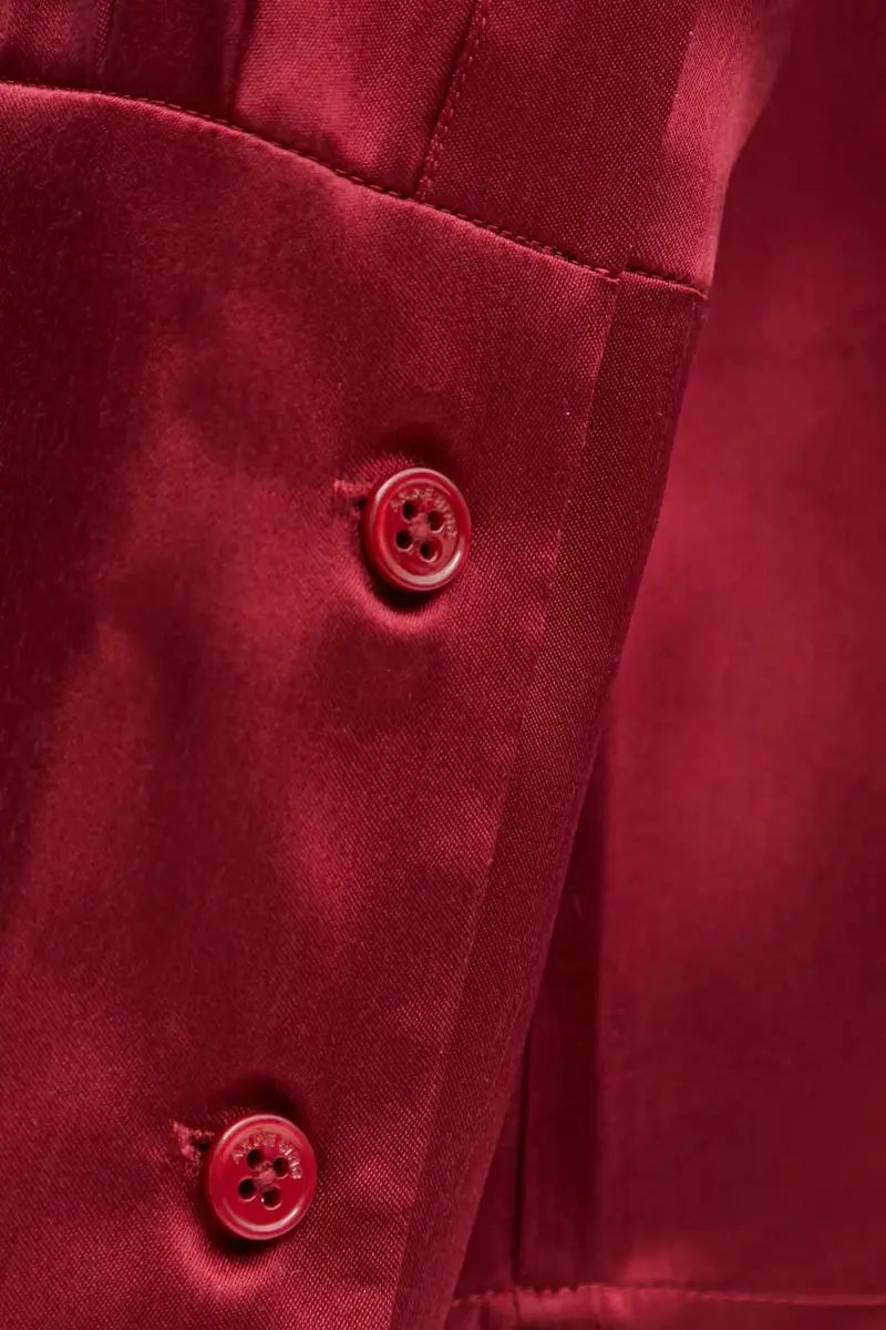 camicia con seta amanda colore granata A.07.11687 miniatura 4