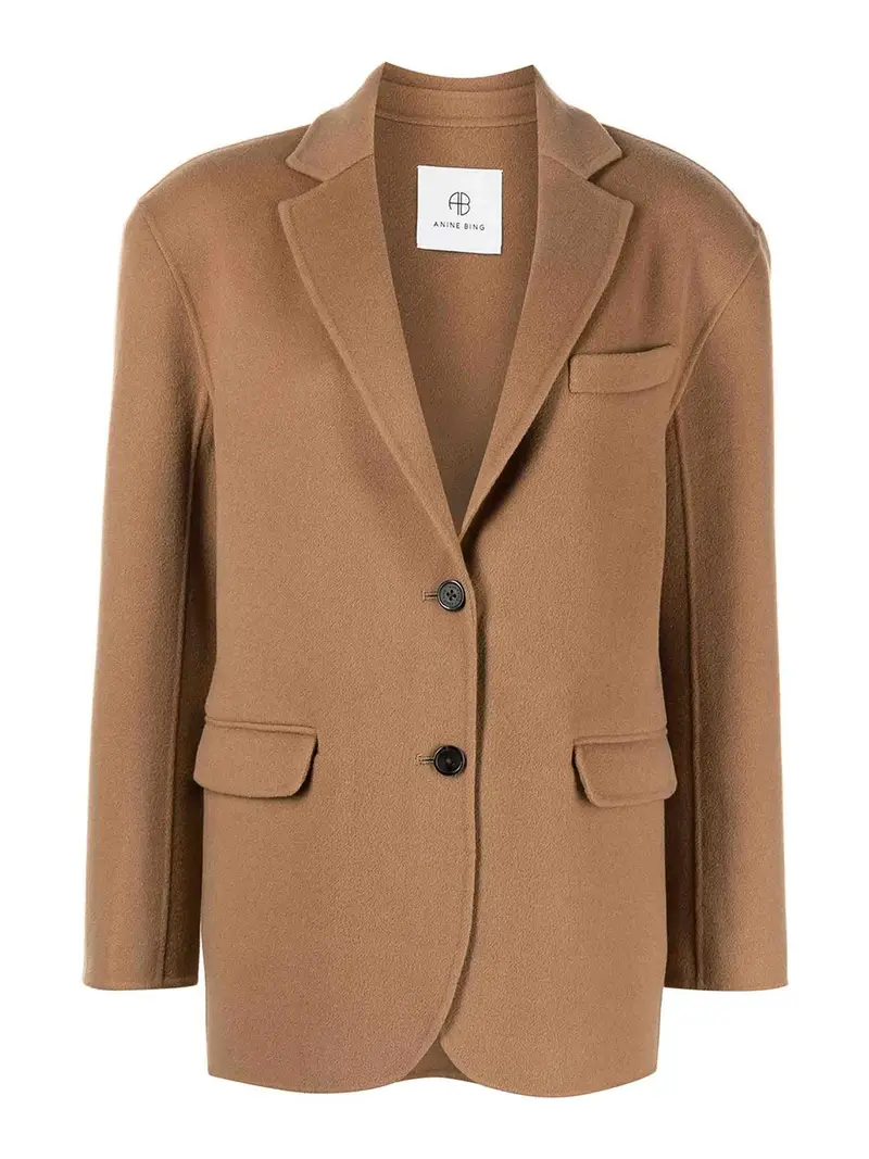 Anine Bing Blazer Marrone 4001300
